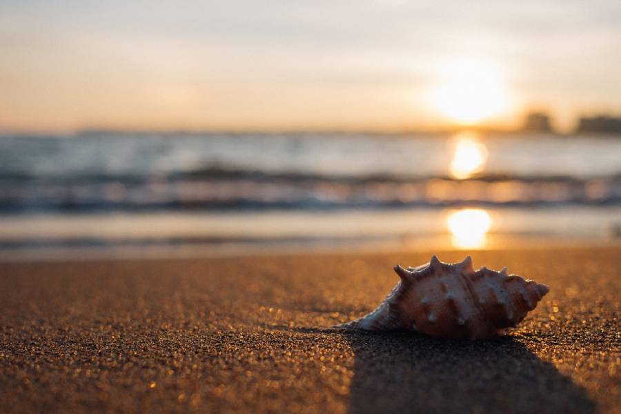 ¿Qué le pasó al verano 2021?