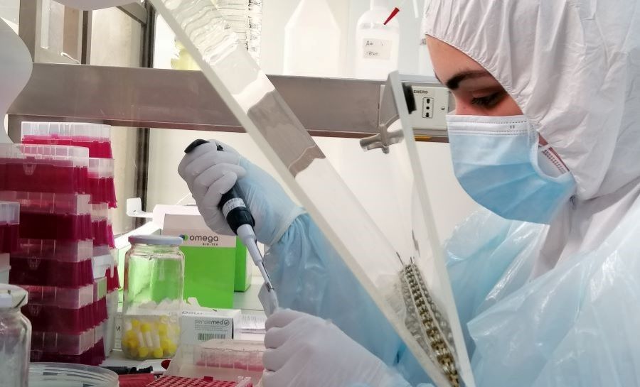 Análisis de muestras PCR Covid 19