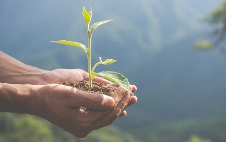 Columna: Educación ambiental para el resguardo de nuestro planeta