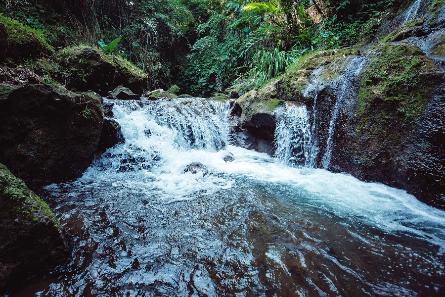 Inapropiabilidad del agua: los riesgos de eliminar el derecho de aprovechamiento