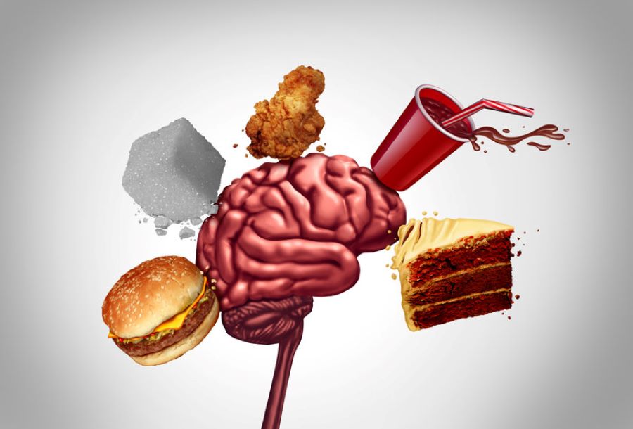 Cómo-afecta-a-nuestro-cerebro-una-dieta-alta-en-grasas saturadas