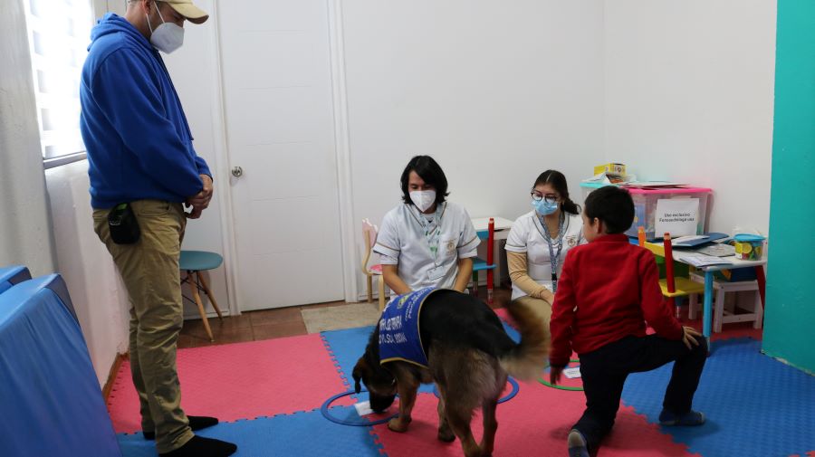 Niños-son-rehabilitados-con-terapia asistida-con-perros-entrenados